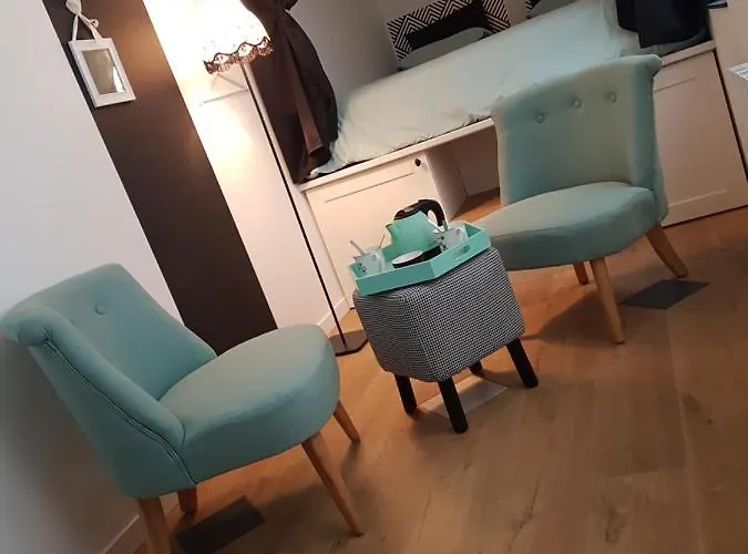 Apartman La Bonbonniere De Salome Hyper Centre Parking Possible